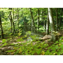 Tarnnetz METERWARE, braun-grün woodland camouflage Sichtschutz Sonnensegel