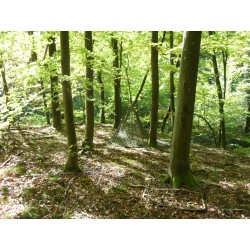 Tarnnetz METERWARE, braun-grün woodland camouflage Sichtschutz Sonnensegel